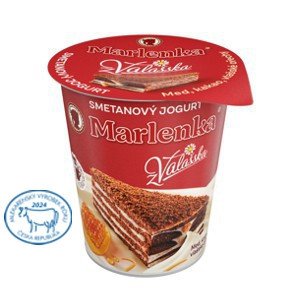 Smetanový jogurt z Valašska MARLENKA med, kakao, vlašské ořechy 150g K